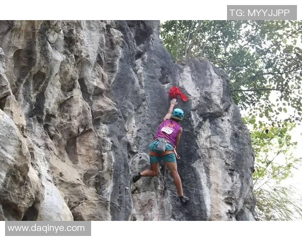 南京攀岩队的蜕变之旅：从传统训练到现代化竞技的全景纪实
